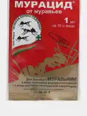 Мурацид