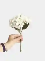 Цветы искусственные "Гортензия"