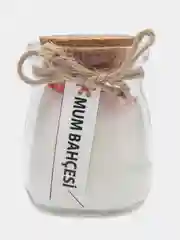Коралловый свеча ручной работы, в баночке