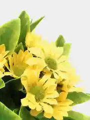 Желтый искусственные цветы "Ромашки"
