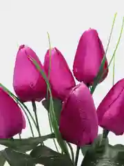 Аметистовый тюльпаны