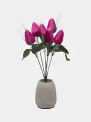 Аметистовый тюльпаны