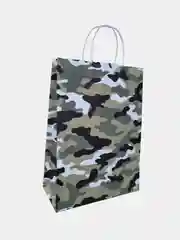 Пакет бумажный24 х 32 х 10,5см/Подарочный пакет с крученными ручками/Пакет на любые случаи