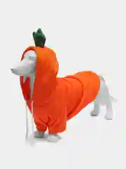 Оранжевый худи для собак и кошек, толстовка, костюм