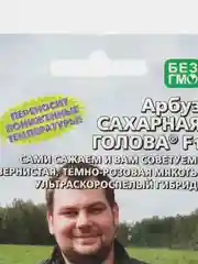 Семена Арбуз "Сахарная голова F1", Уральский дачник, 10 штук