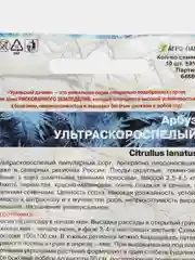 Семена Арбуз "Ультраскороспелый", Уральский дачник, 10 штук