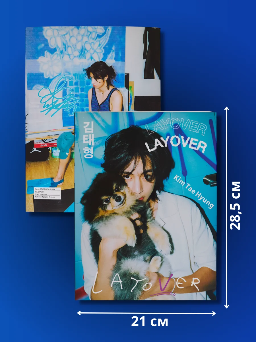 Бежевый фотобук BTS Техен LAYOVER 80 страниц и карты