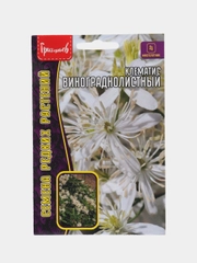 Клематис Винограднолистный (семена)