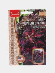 Колеус Черный дракон (семена)