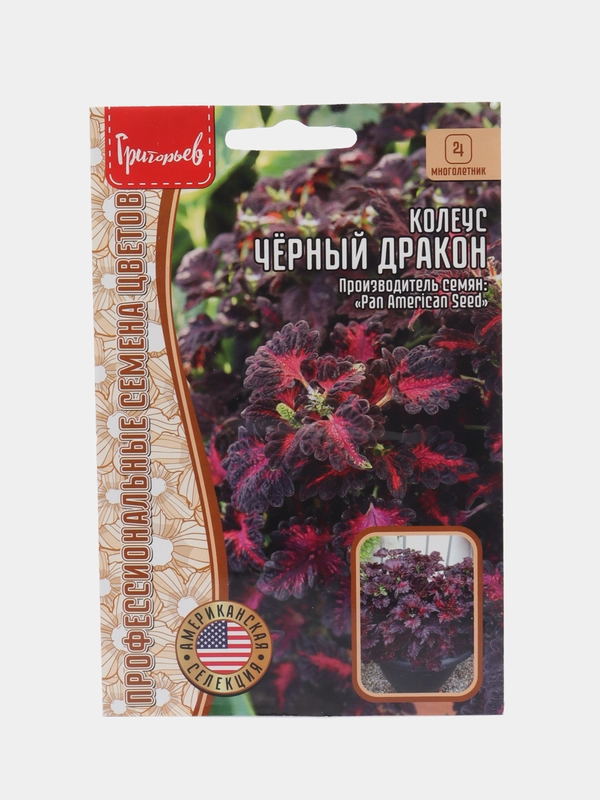 Колеус Черный дракон (семена)