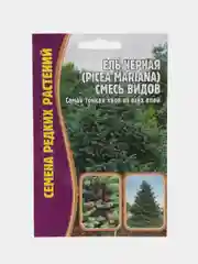 Ель Черная смесь видов (семена)