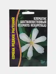 Клематис Шестилепестковый (Clematis Hexapetala)