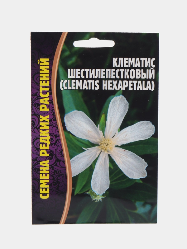 Клематис Шестилепестковый (Clematis Hexapetala)