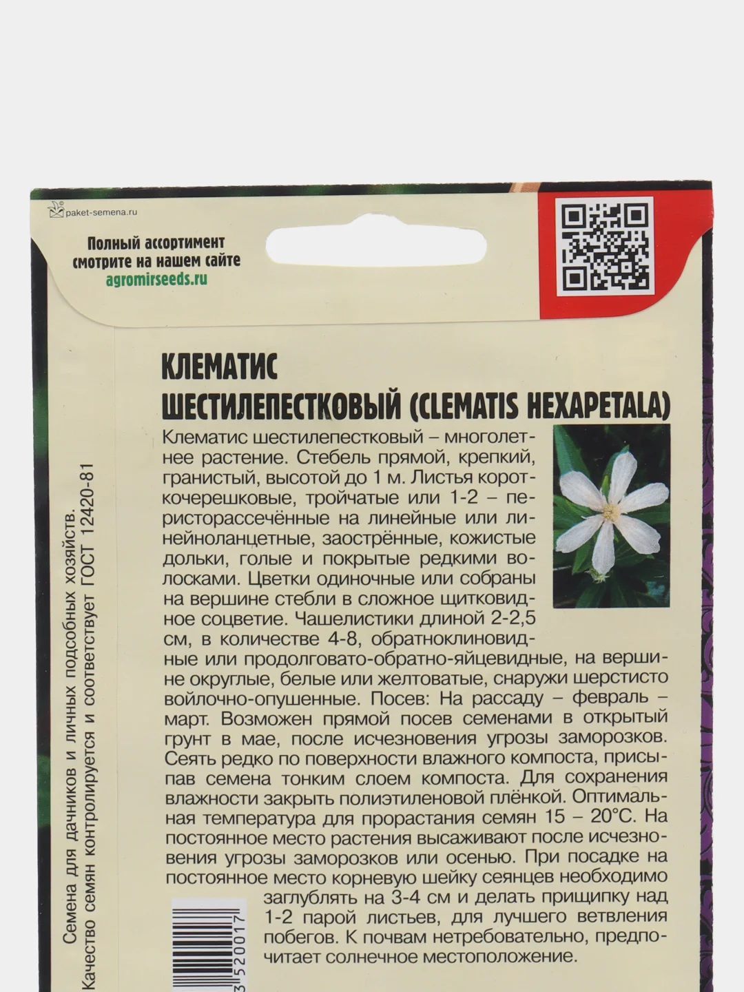Клематис Шестилепестковый (Clematis Hexapetala)