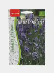 Лаванда узколистная Лиловая принцесса (семена)