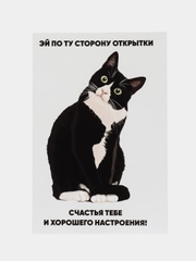 Подарочная открытка, поздравительная карточка, открытка с приколом в крафтовом пакете