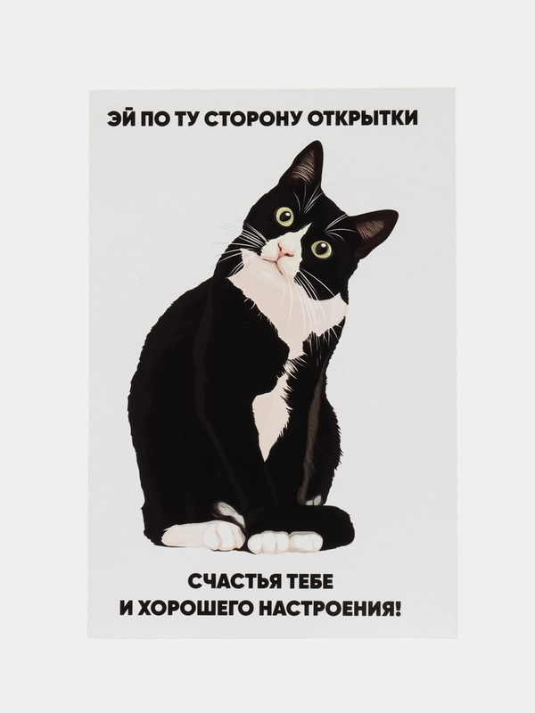 Подарочная открытка, поздравительная карточка, открытка с приколом в крафтовом пакете