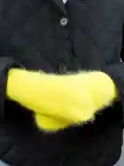 Варежки зимние, ангорковые, на плюше