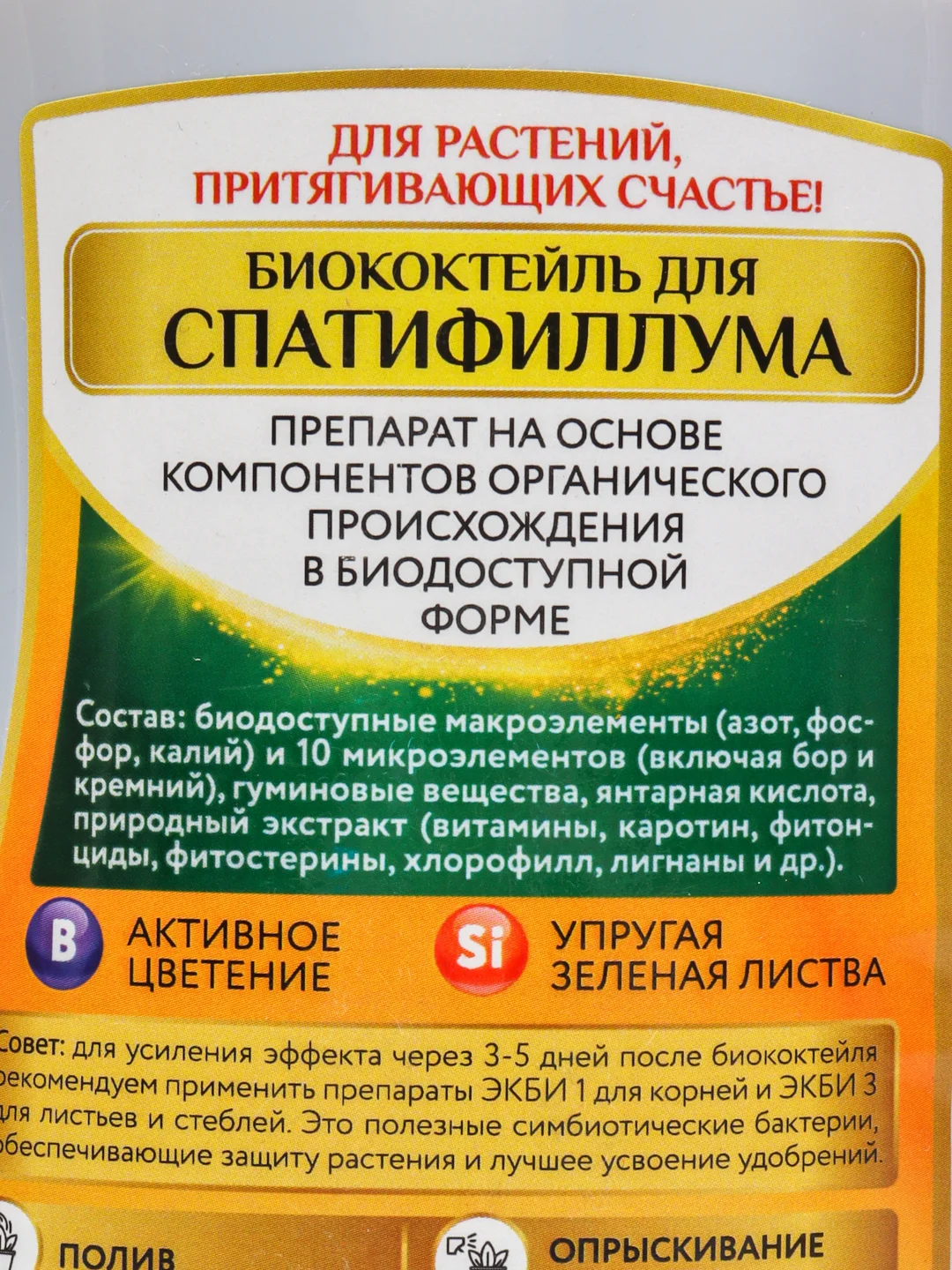Биококтейль для спатифиллума