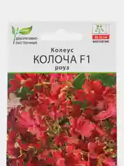 Колеус Колоча F1 роуз (семена,цветы)