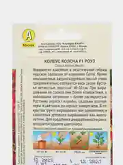 Колеус Колоча F1 роуз (семена,цветы)