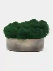 Хром кашпо из гипса со стабилизированным мхом, шкатулка, подставка из гипса, ваза, свеча