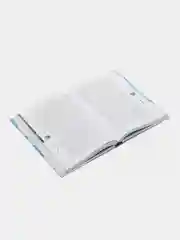Волшебные миры Хаяо Миядзаки, Сюзан Нейпир