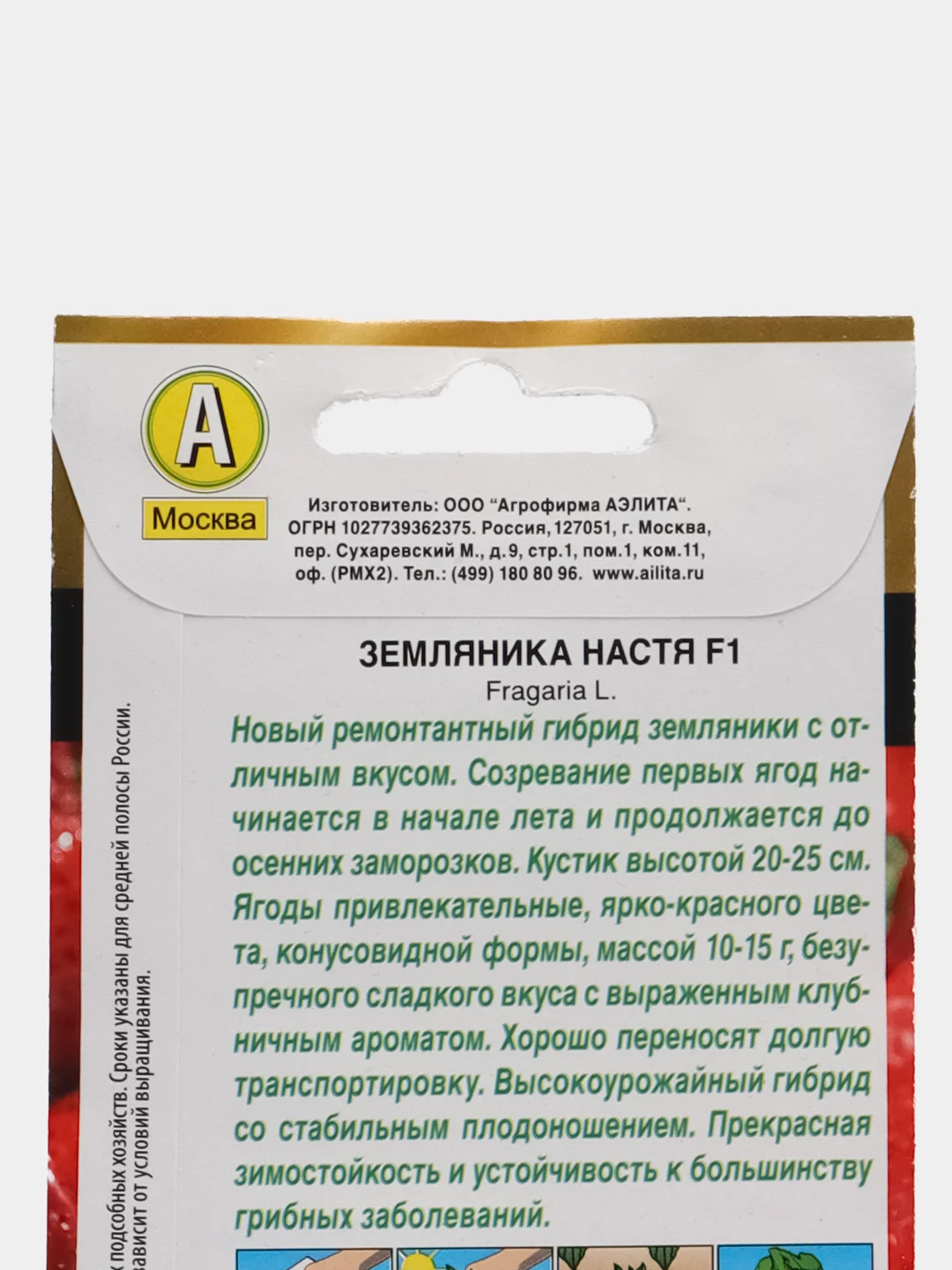 Земляника Настя (семена)