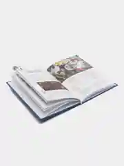 Книга "Искусство во дворах. Прогулки по Альметьевску"