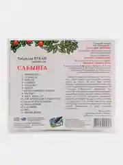 CD "Сабыйга", Закиева Розалия, на татарском языке