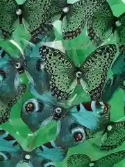 Готовый!Светящийся букет из бабочек