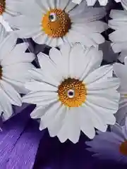 Готовый!Светящийся букет из ромашек