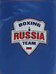 Набор боксерский детский, груша 40 см + перчатки
