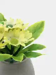 Лимонный искусственные цветы "Ромашки"