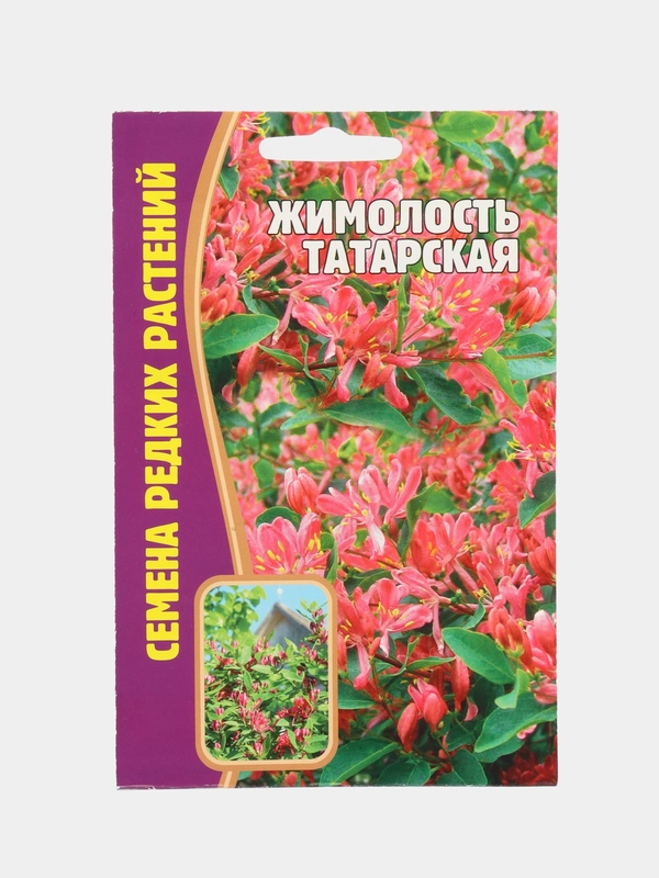 Жимолость Татарская (семена)