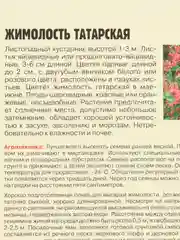 Жимолость Татарская (семена)