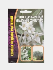 Лох Серебристый Elaeagnus Commutata (семена)