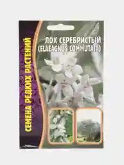 Лох Серебристый Elaeagnus Commutata (семена)