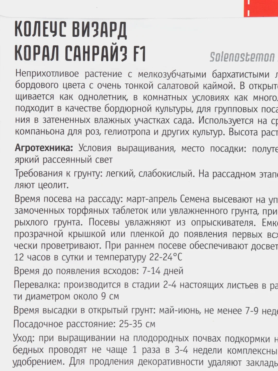 Колеус Визард Корал Сайнрайз (семена)