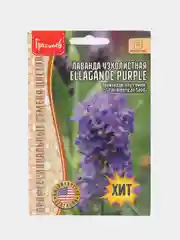 Лаванда узколистная Ellagance Purple (семена)
