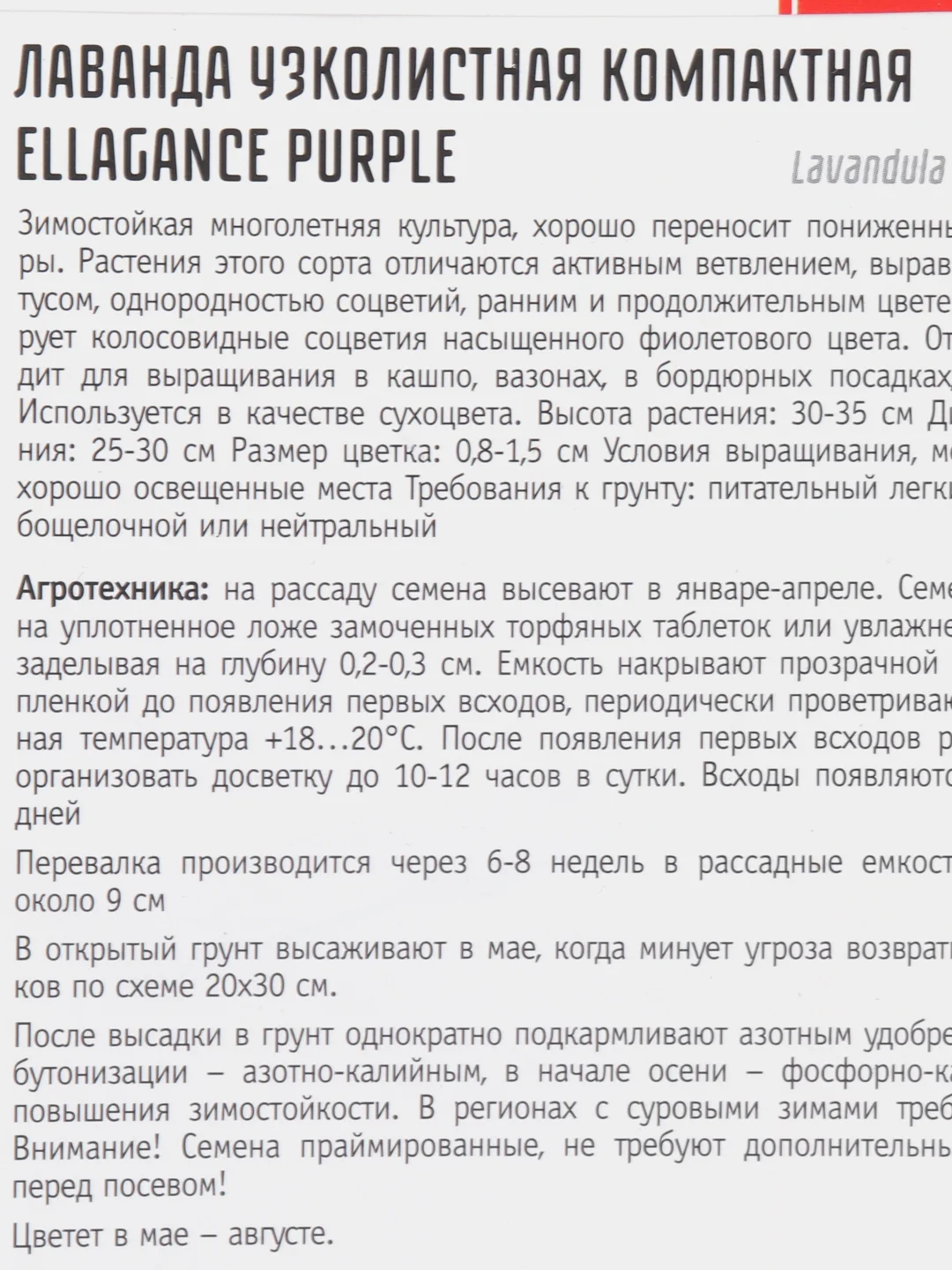 Лаванда узколистная Ellagance Purple (семена)