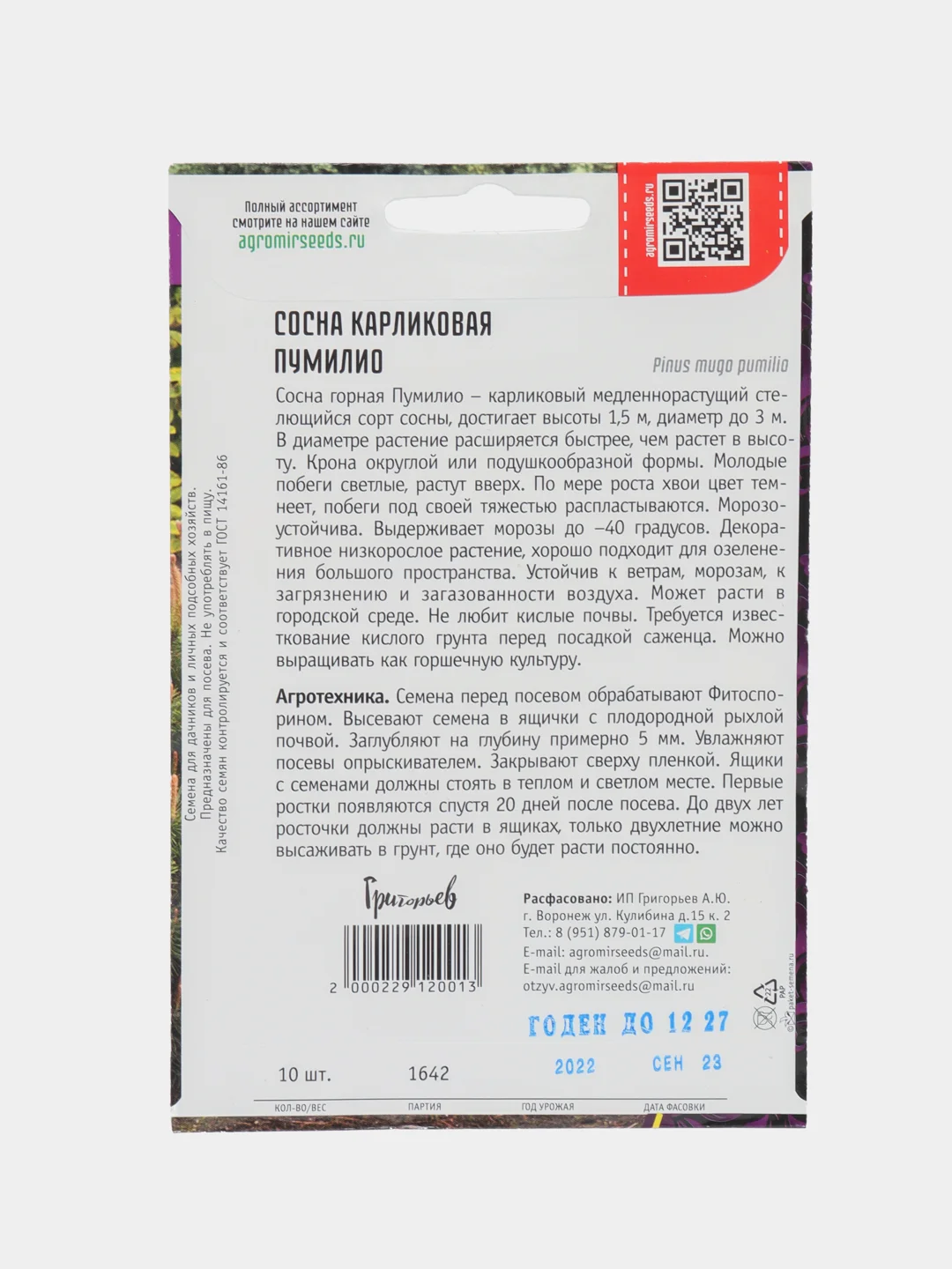 Сосна Карликовая Пумилио (семена)