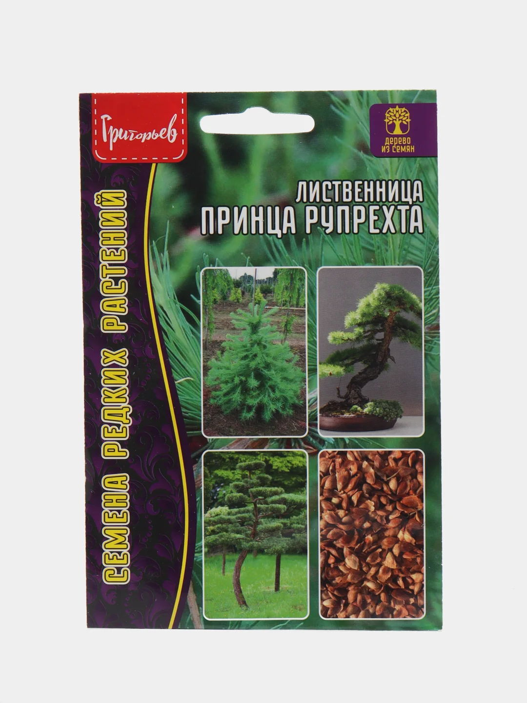Лиственница Принца Рупрехта (семеня)