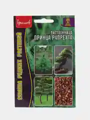 Лиственница Принца Рупрехта (семеня)