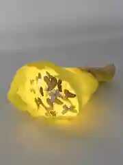 Готовый!Светящийся букет из бабочек