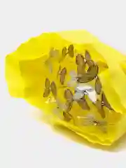 Готовый!Светящийся букет из бабочек