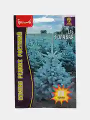 Ель голубая (семена)