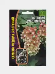 Гортензия Дуболистная (семена)