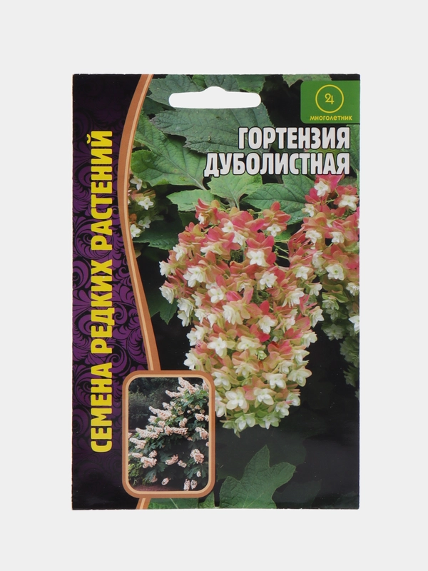 Гортензия Дуболистная (семена)