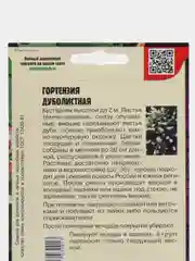 Гортензия Дуболистная (семена)